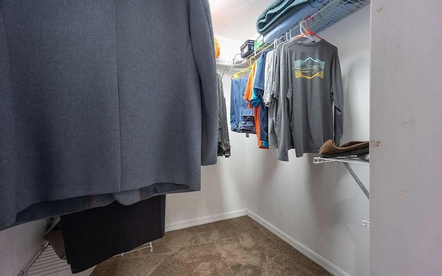 walk in closet with carpet floors