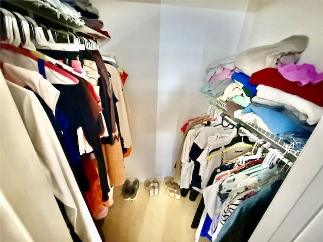 view of spacious closet