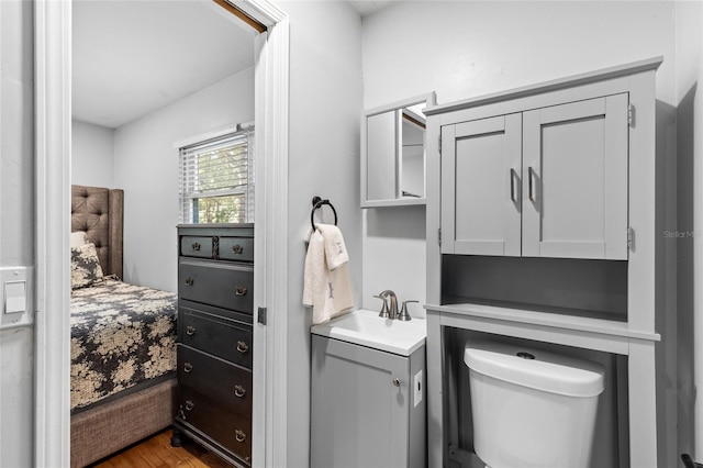 bathroom featuring toilet, vanity, and wood finished floors