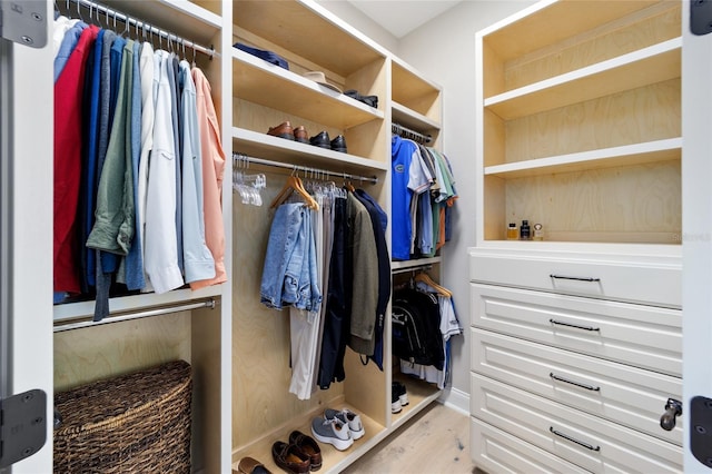 view of spacious closet