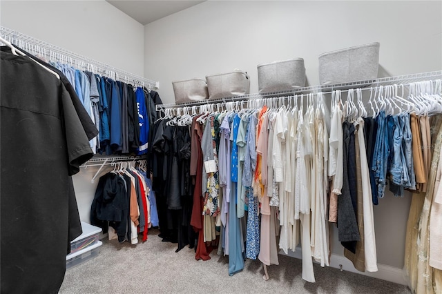 walk in closet with carpet floors