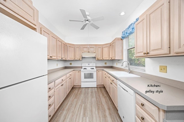 kitchen featuring white appliances, light brown cabinets, a sink, light countertops, and under cabinet range hood