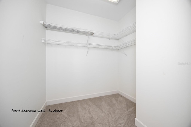 spacious closet with light colored carpet