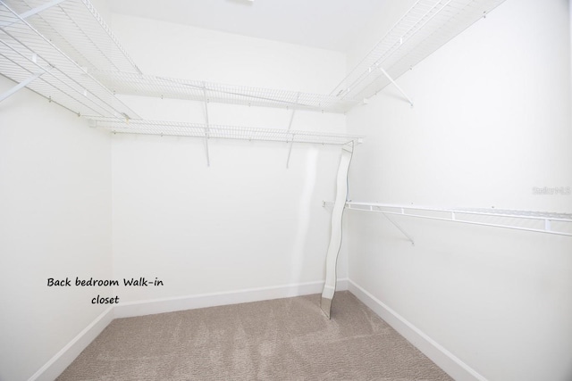 walk in closet with carpet flooring