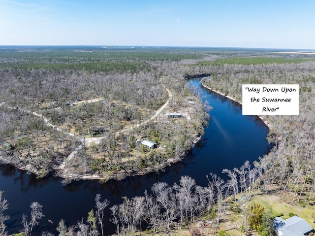 birds eye view of property featuring a view of trees and a water view