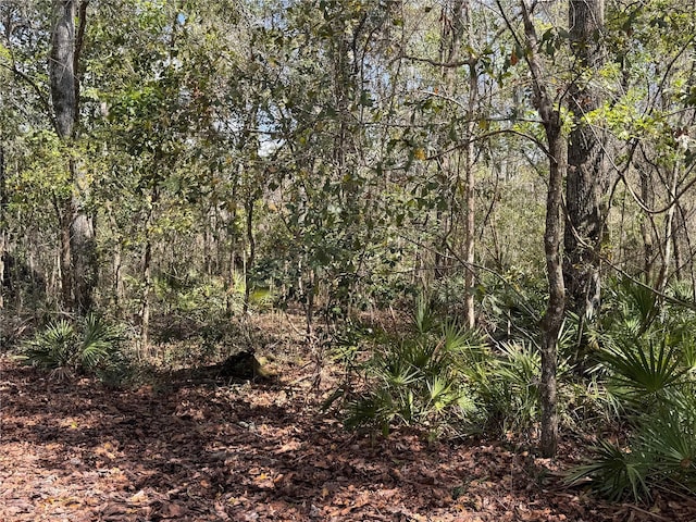 view of landscape featuring a wooded view