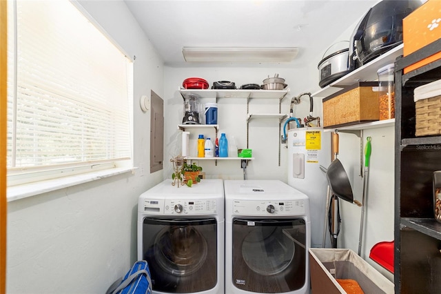 clothes washing area with washer and dryer, laundry area, and electric panel