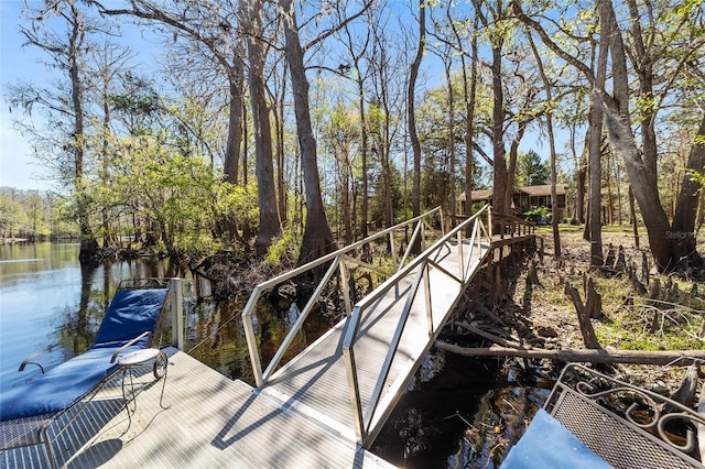 dock area with a water view