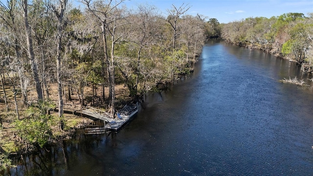 bird's eye view featuring a wooded view and a water view