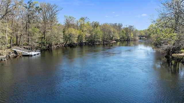 water view with a wooded view and a boat dock