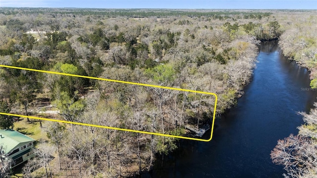 aerial view featuring a forest view and a water view