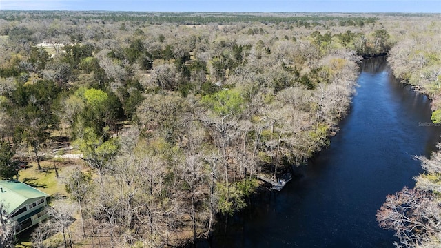 birds eye view of property featuring a view of trees and a water view