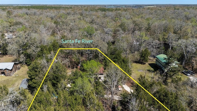 birds eye view of property with a forest view