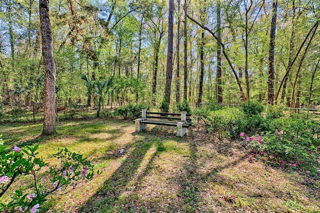 view of yard with a wooded view