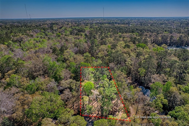 birds eye view of property with a forest view