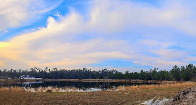 view of water feature with a view of trees