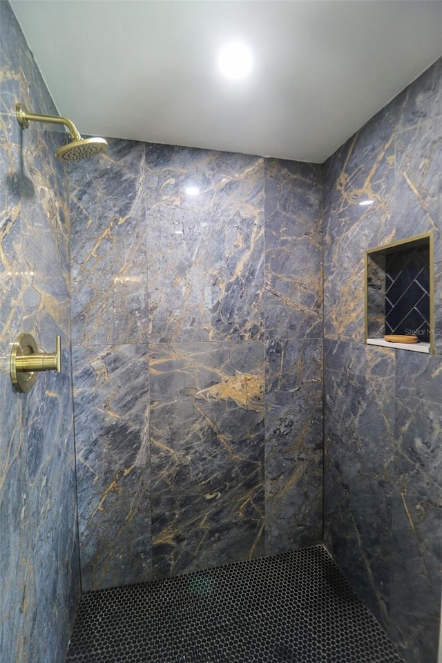 817 Blue Heron Blvd, Ruskin, FL 33570 - bathroom with tiled shower