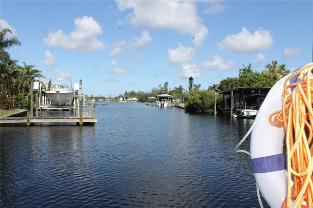 817 Blue Heron Blvd, Ruskin, FL 33570 - photo 1