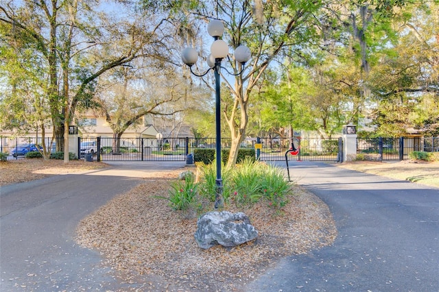 view of road featuring street lights, a gate, and a gated entry