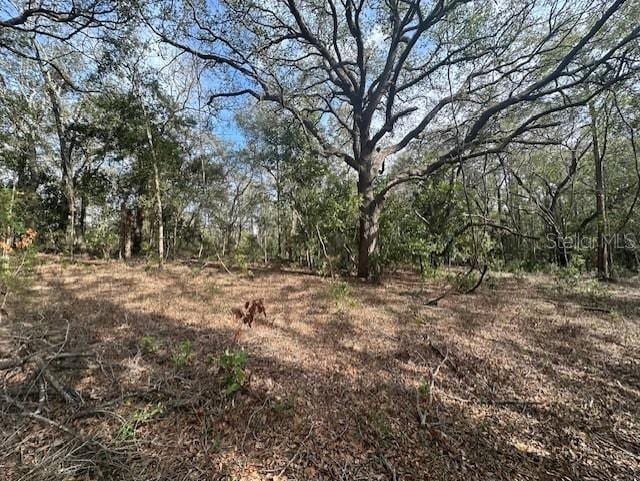 NW County Road 236, Bell FL, 32619 land for sale