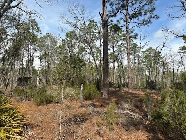 Listing photo 2 for NW County Road 236, Bell FL 32619