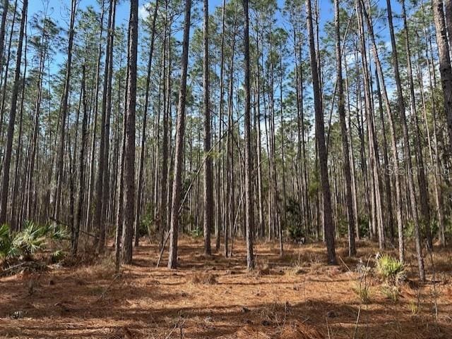 NW County Road 236, Bell FL, 32619 land for sale