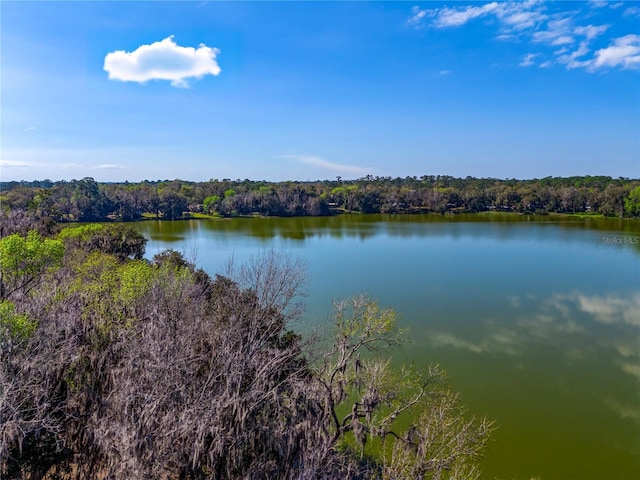 property view of water with a wooded view