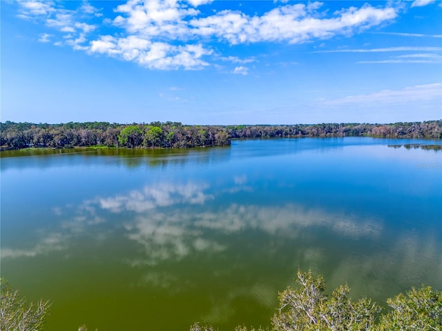 water view featuring a forest view