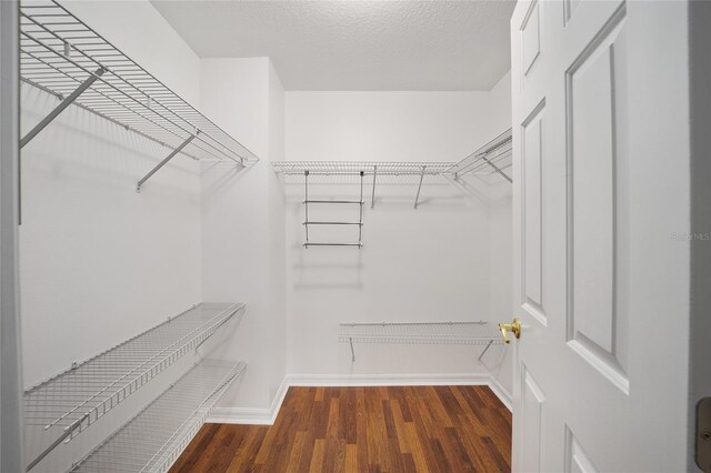 walk in closet with wood finished floors