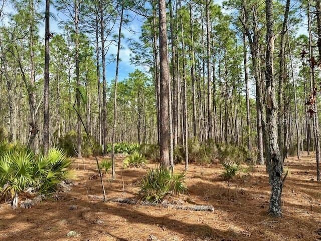 NW County Road 236, Bell FL, 32619 land for sale