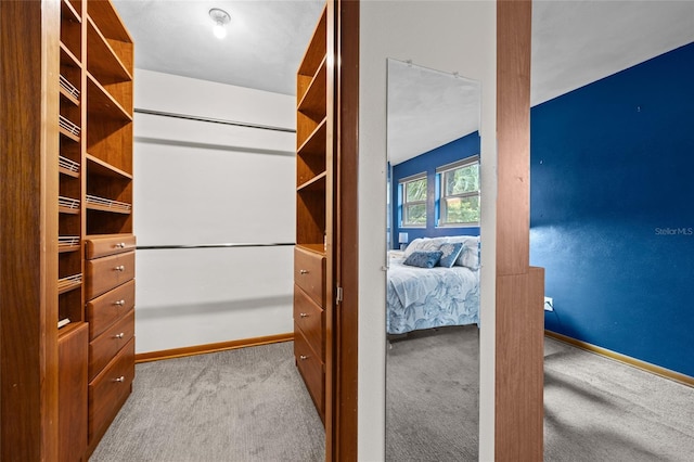 walk in closet featuring carpet floors