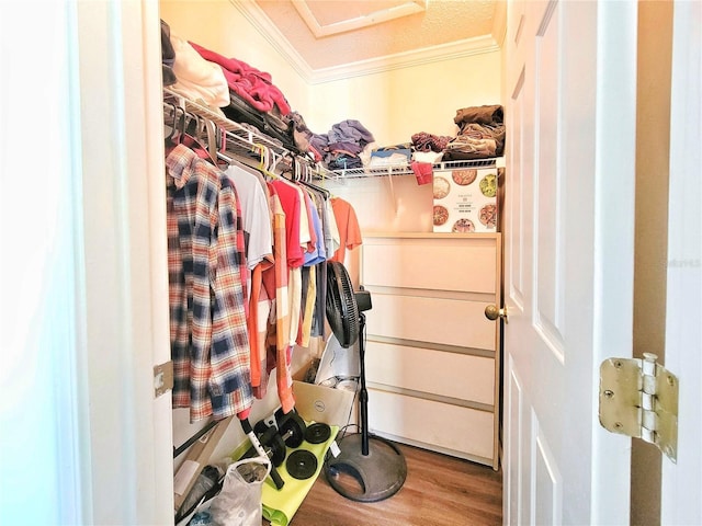 walk in closet with wood finished floors