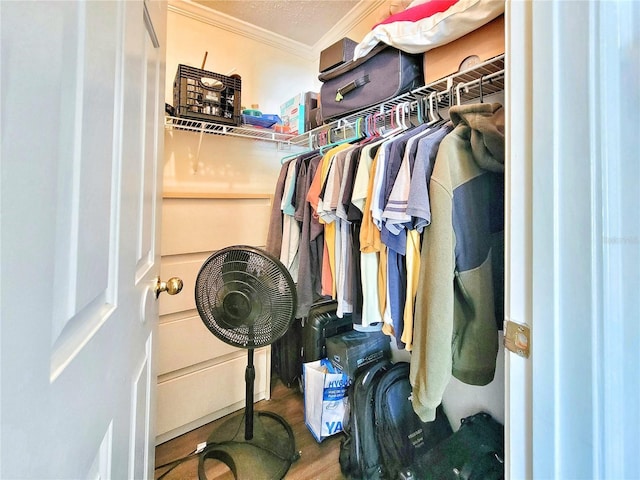 spacious closet with wood finished floors