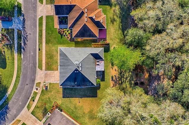 aerial view