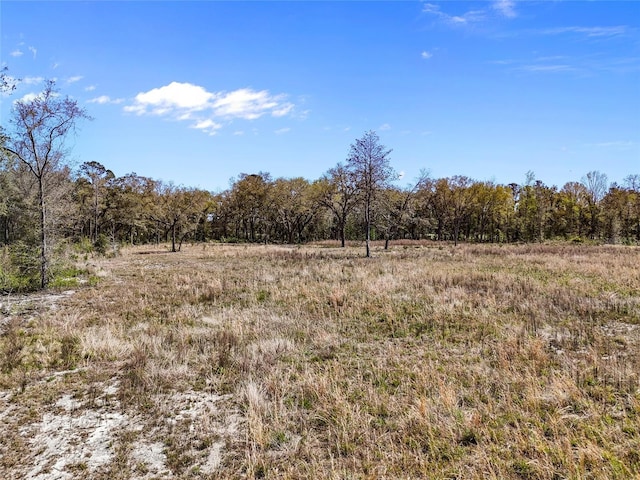 TBD00 SE US Highway 301, Hawthorne FL, 32640 land for sale