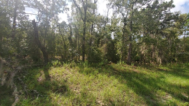 16009 SW 57th Terrace Rd, Ocala FL, 34473 land for sale