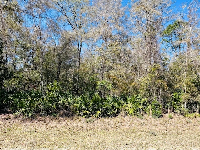 0 NW 48th Ter, Chiefland FL, 32626 land for sale