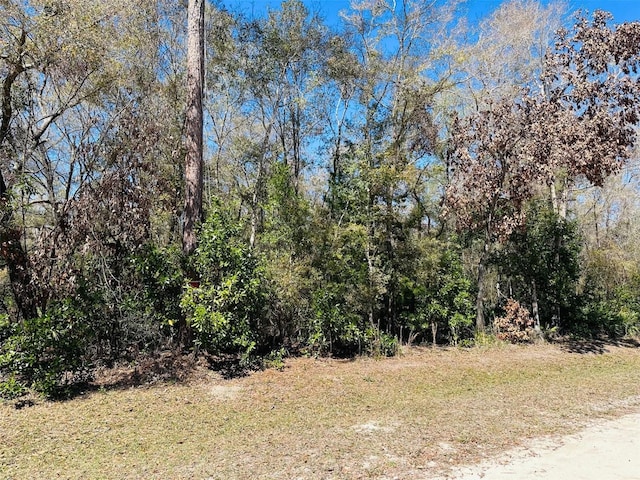 Listing photo 2 for 0 NW 48th Ter, Chiefland FL 32626