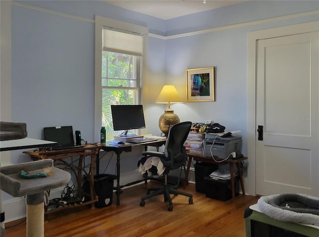 office space featuring wood finished floors