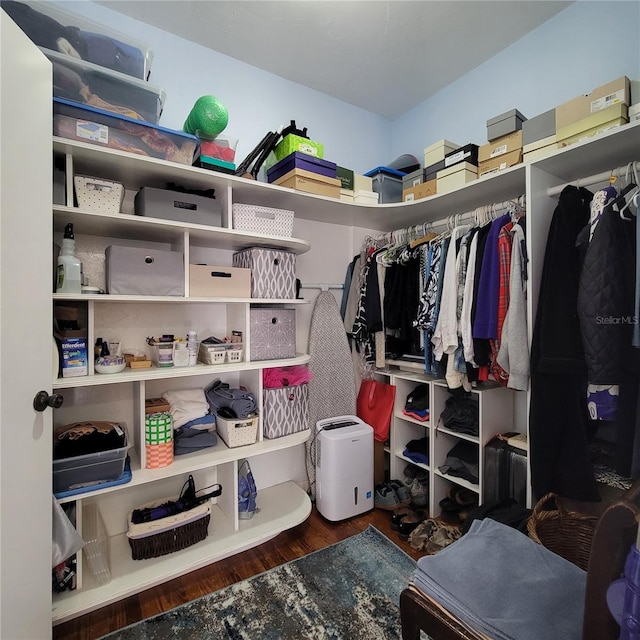 spacious closet featuring wood finished floors