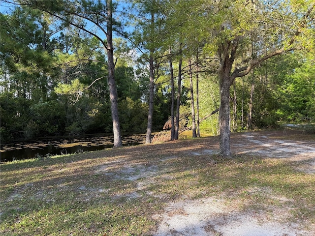 view of yard featuring a view of trees