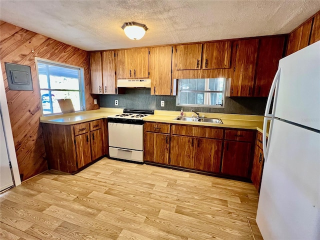 kitchen with under cabinet range hood, light countertops, light wood-type flooring, white appliances, and a sink