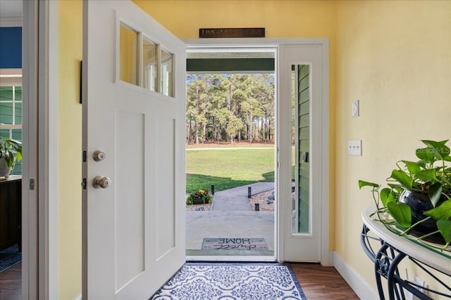 foyer entrance with baseboards and dark wood finished floors