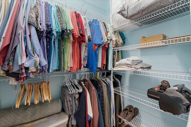 view of spacious closet