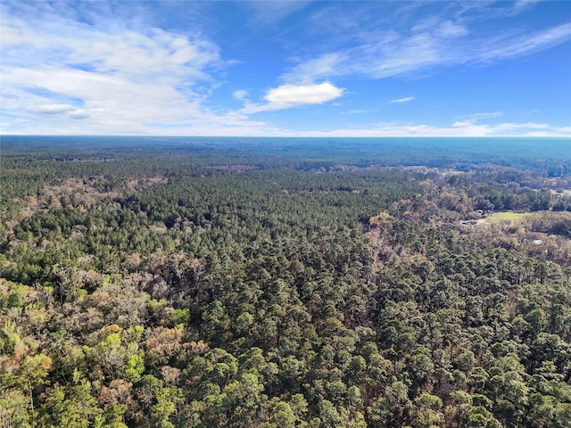 aerial view with a forest view