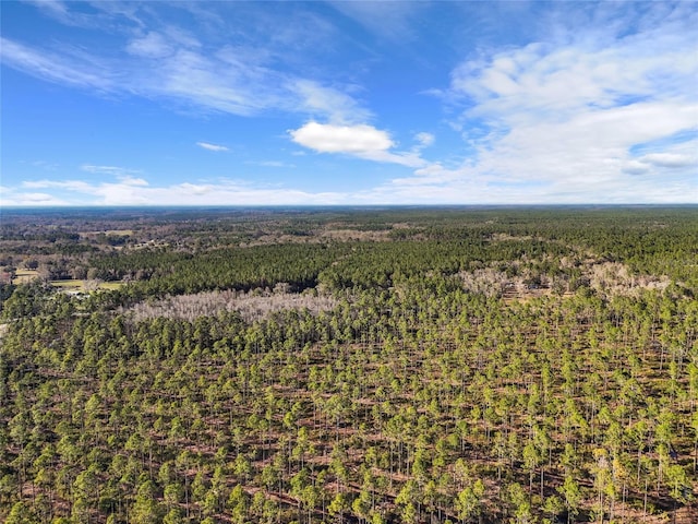 aerial view with a view of trees