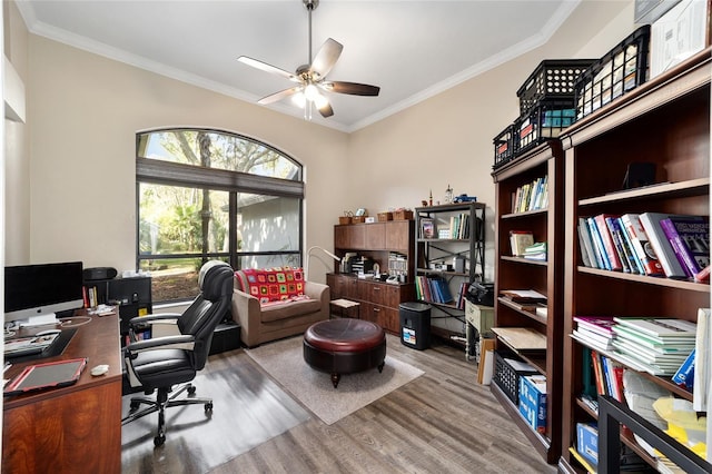 office space featuring wood finished floors, ceiling fan, and ornamental molding