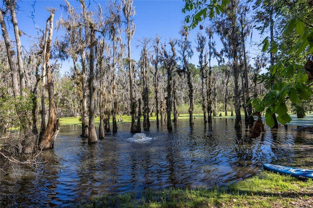 view of water feature