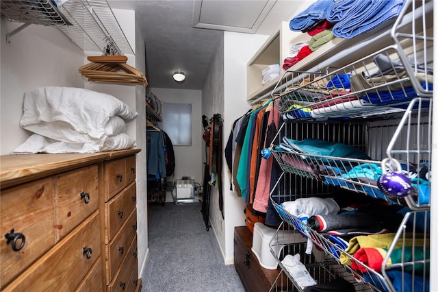 walk in closet with attic access and carpet flooring