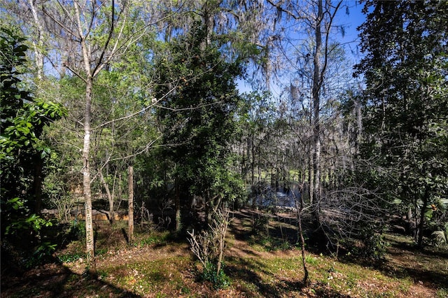 view of nature featuring a wooded view